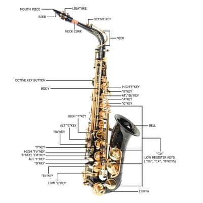 Cxxss Professional Alto Black Saxophone Sax With Strap Shell Button image 4