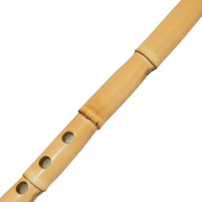 Original Arabic Ney by Master Ahmad Abdel Ghani, Key G thick Reed and amazing sound image 8