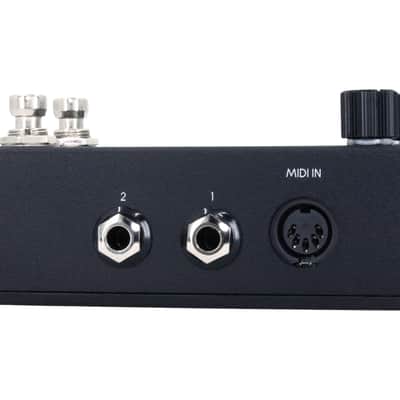 Walrus Audio Canvas Clock MIDI Sync Pedal image 5