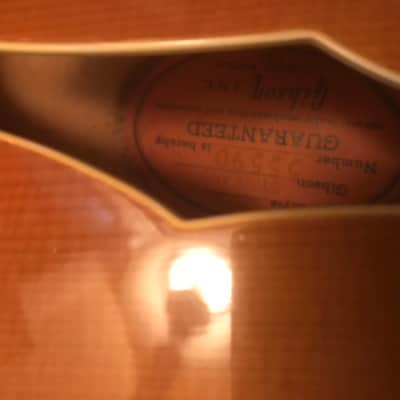 Gibson Byrdland 1962 Natural image 3