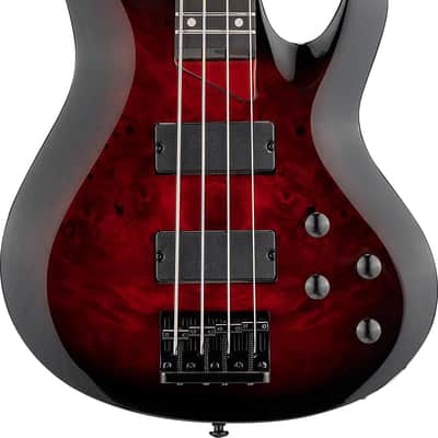 ESP LTD B-204DX Electric Bass Guitar - Red Burst Rosewood Fingerboard image 1