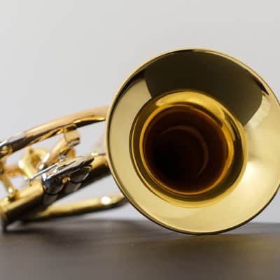 Yamaha YCR-8335II Neo Bb Cornet (SN E000xx) image 15