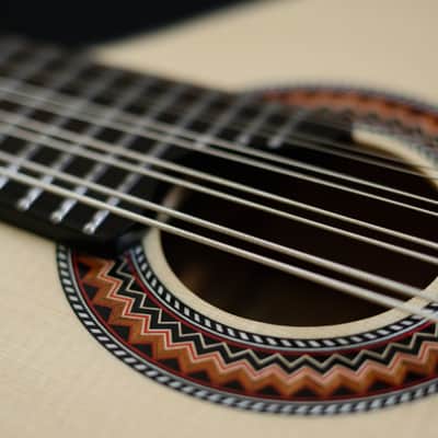 Junio Americo 10-String Mandolin | Brazil image 6