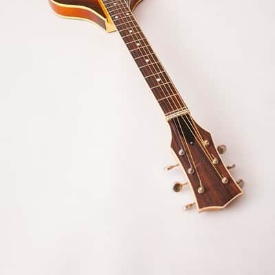 Defil Julia 1973 Tobacco Burst Violin Guitar image 6