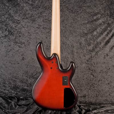 Sandberg Panther TT 5-string RB BM image 4