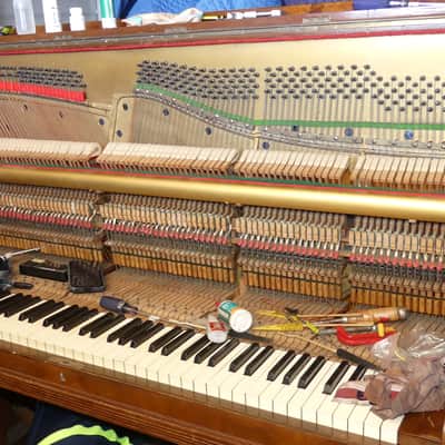 Super Rare Find Antique Free Sydney Delivery Upright Piano Wilhelm Spaethe Gera Made in Germany Burr Walnut Rare Vintage C1910s Restored Tuned Recording Available On Request image 9