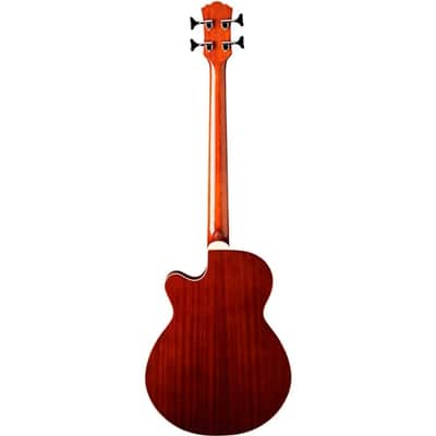 Washburn AB5K 4-String Acoustic Bass Guitar Natural Koa image 4