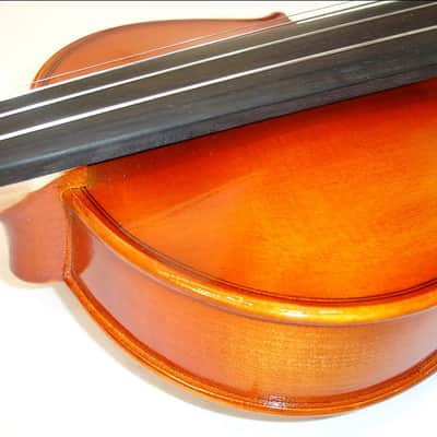 Eastman VL100 4/4 Student Violin Outfit with Bow, Case & Rosin image 4