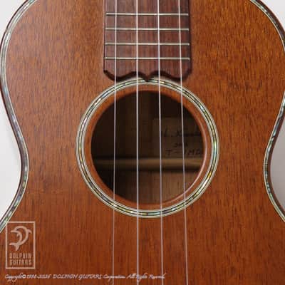 KAWAKAMI GUITARS＜MIJ> T-1M DX 2006 image 11