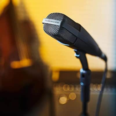 Liquid Audio Sennheiser MD 421-II Cardioid Dynamic Microphone Bundle w/Pig Hog PHM10 8mm Mic Cable Polishing Cloth image 5