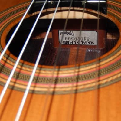 MADE IN 1984 - TAKAMINE 10 - ROBERT BOUCHET STYLE - CLASSICAL GRAND CONCERT GUITAR - CEDAR/INDIAN ROSEWOOD image 9