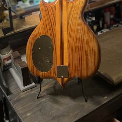 Alembic MK1 1975 image 2