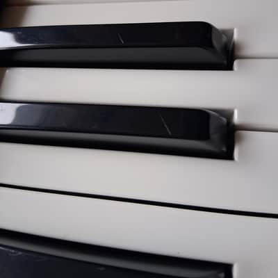 Sequential Pro 3 with Decksaver 37-Key 3-Voice Monophonic / Paraphonic Synthesizer image 10