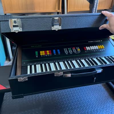 Skyline FortyNine P49 Synth String Drum – Ultra-Rare & SERVICED + hard case image 10