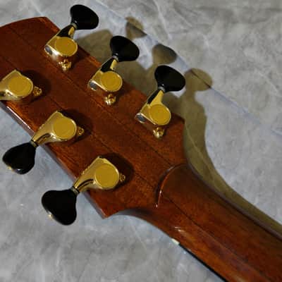 Kathy Wingert Model EVC - (Brazilian RW) image 19