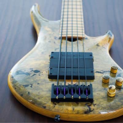 Roscoe Custom SKB 5 Electric Bass image 2