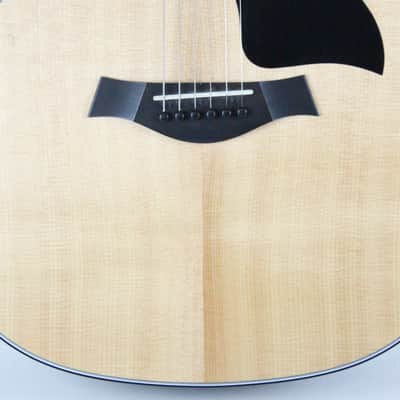 2023 Taylor Grand Auditorium 314ce V-Class Bracing Natural +OHSC image 11