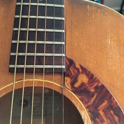 Epiphone FT-45n Cortez 1965 image 10