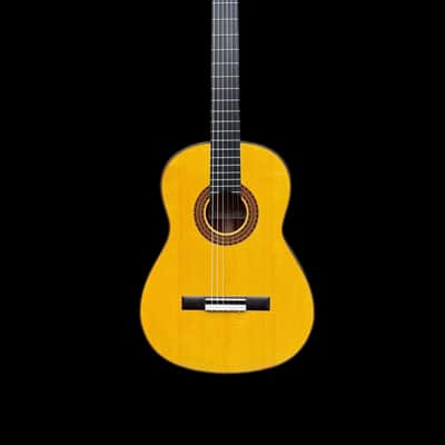 2025 Francisco Navarro (Hijo) SP/PE Flamenco Concert Reyes image 5