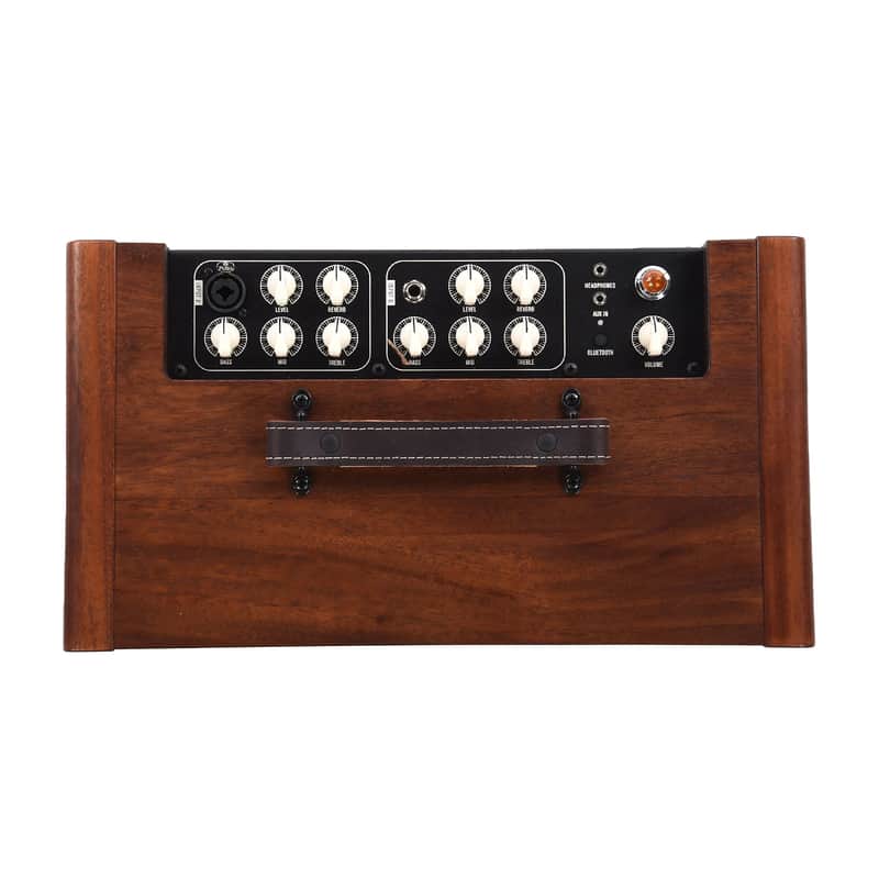 Taylor Circa 74 2-Channel 150-Watt 1x10" Acoustic Guitar / Vocal Combo image 3