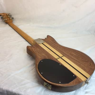 Vintage El Degas Japan Electric Players Guitar Pro Set Up image 8