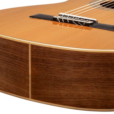 Ortega R20GWN Traditional Series Solid Cedar Top Mahogany Neck Nylon 6-String Classical Acoustic Guitar w/Gig Bag image 14