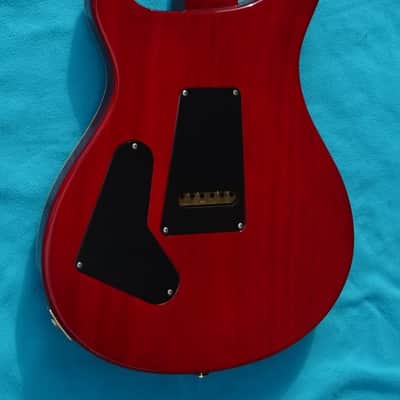 Paul Reed Smith Prs Custom 24 Ten Top N.O.S. 2014 UNPLAYED image 10