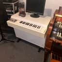 Mellotron Mellotron 1974 - white