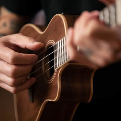 Ortega RUWN-CE Horizon Series Walnut Top Okoume Neck Concert Acoustic-Electric Ukulele w/Gig Bag image 20