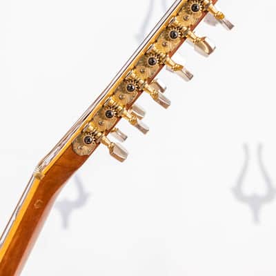 Daion Year Series '80 / 12 String image 17