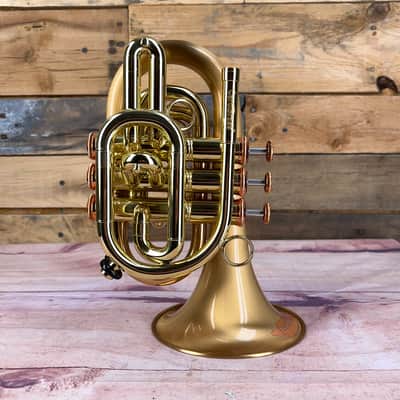 CarolBrass CPT-3002-RLM(D)-Bb-SLB Arturo Sandoval Signature Model Trumpet image 1