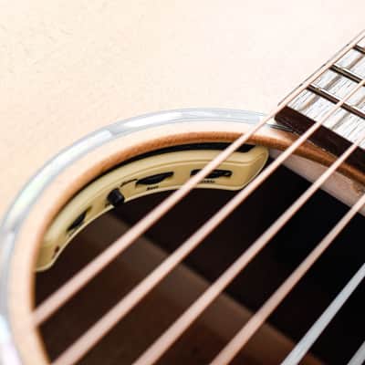 Eastman PCH1 GACE image 11