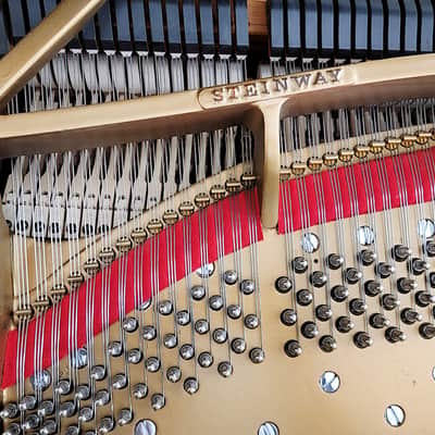 Steinway & Sons Concert Grand Piano image 17