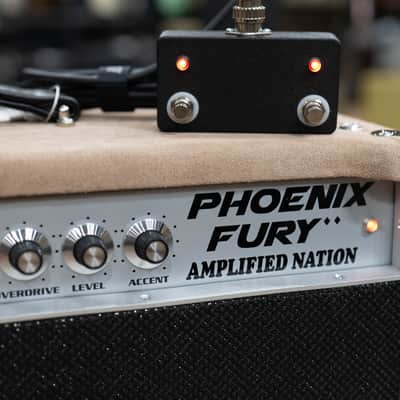 Amplified Nation Phoenix Fury 50W 112 Combo w/ Celestion G12-65 – Dogwood Suede image 5