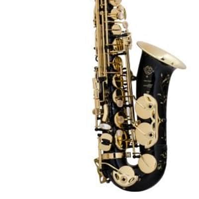 Selmer Paris 62JBL Series III Jubilee Profess Eb Alto Saxophone, Black Lacquer image 1