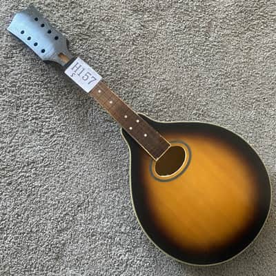 Sunburst 8 String Mandolin Project, Spruce Top, Mahogany Body, Rosewood Fingerboard image 1