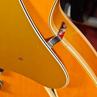 Fender  Coronado II 1967 Natural Semihollow Mod image 2