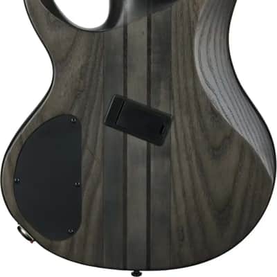 Ibanez BTB805MS Bass Workshop Multi-Scale 5-String Bass Guitar, Panga Panga Fingerboard, Transparent Gray image 2
