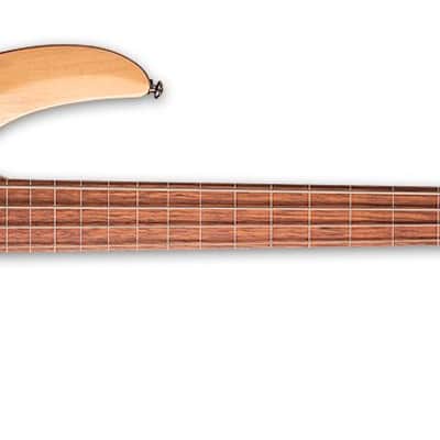 ESP LTD B-204SM FL Spalted Maple Fretless Bass Guitar, Natural Satin image 3