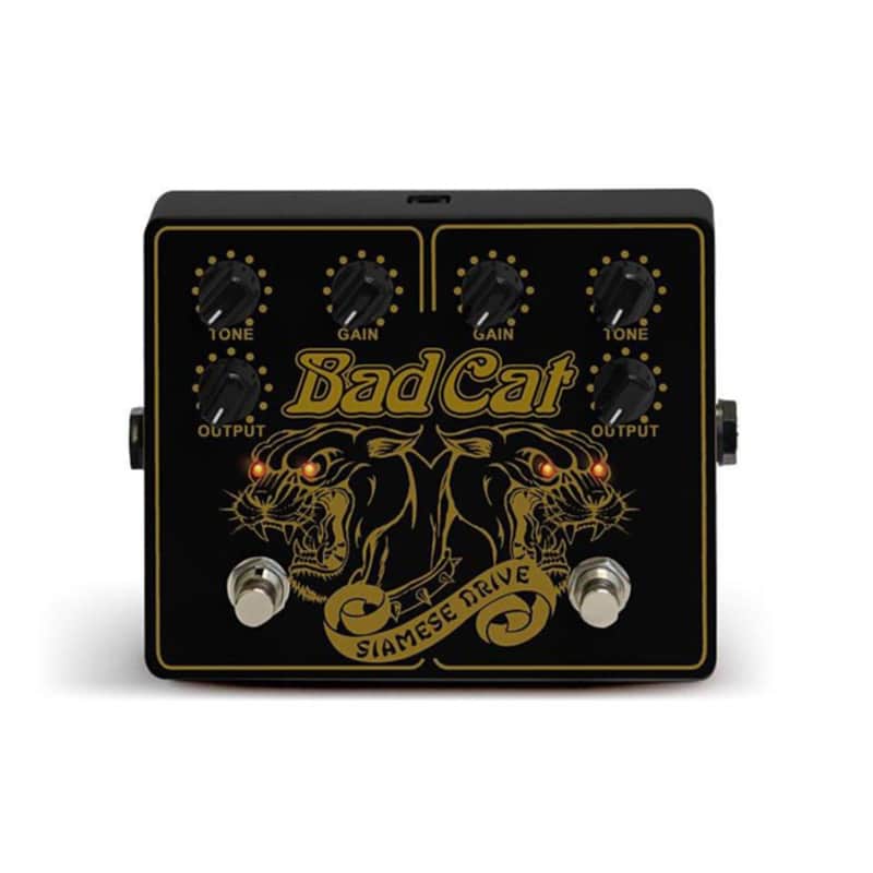 Bad Cat Siamese Drive V1 | Reverb