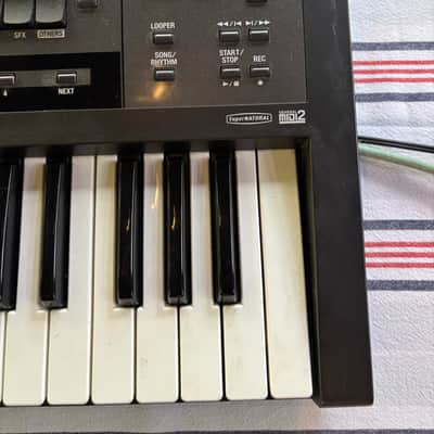 Roland VR-09 61-Key V-Combo Organ Stage Ready Keyboard image 6