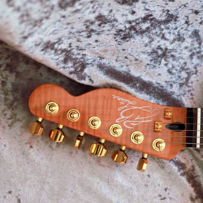 GB Liuteria Traditional Tele semi hollow kiaat image 19