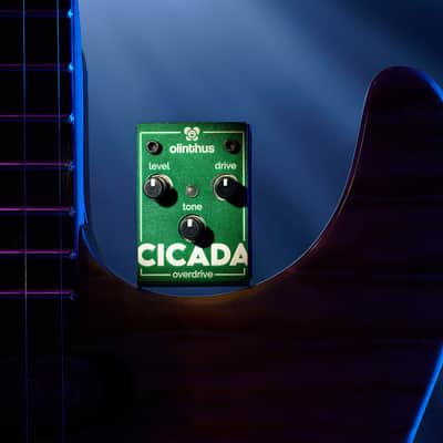 Olinthus Cicada Overdrive – World's Smallest Effects Pedal! image 5