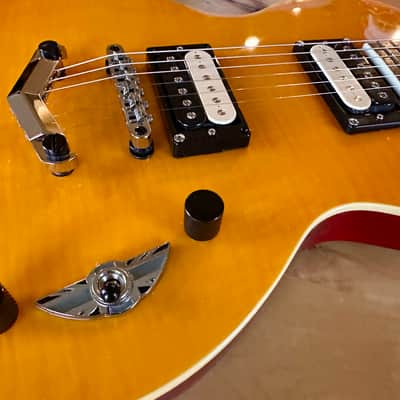 Slash AFD Les Paul Special II - Everything New & Upgraded image 4