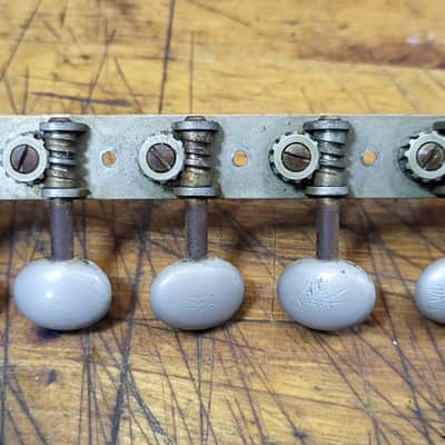Vintage RARE 1965 Silver Plastic Buttons 6 in a line on a plate Guitar Tuners Luthier Parts image 1