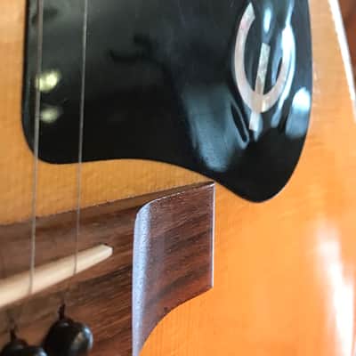 Epiphone FT-570 BL 1970’s Natural image 14