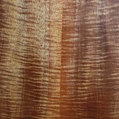 Taylor Academy 12e LTD AA Koa / Torrified Sitka Limited Availability image 10