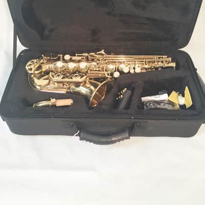 Musikwerks Curved Bb Soprano Saxophone in Gold Lacquer-New-w/Case and Extras! image 2