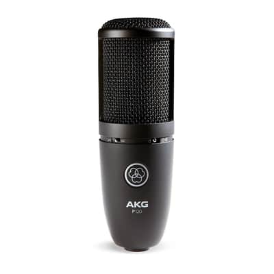 AKG Perception P120 Professional Studio Microphone, Sliver image 1