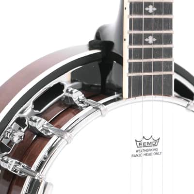 Gold Tone BG-Mini C-Scale Short Scale 8" Mini Bluegrass 5-String Banjo w/Gig Bag image 6